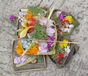 Bali Offering