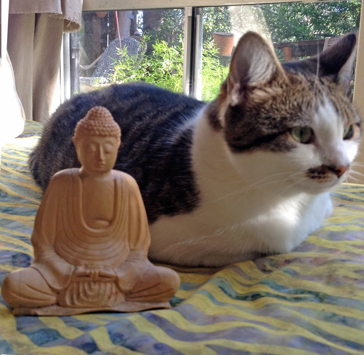 sadie-budda